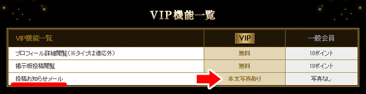 YYC VIP会員00