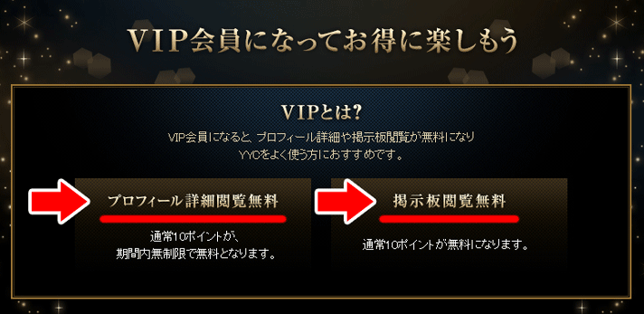 YYC VIP会員01